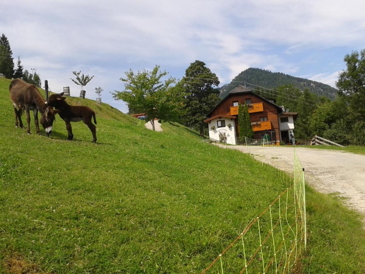 Stallhaeusl Schladming Extérieur photo