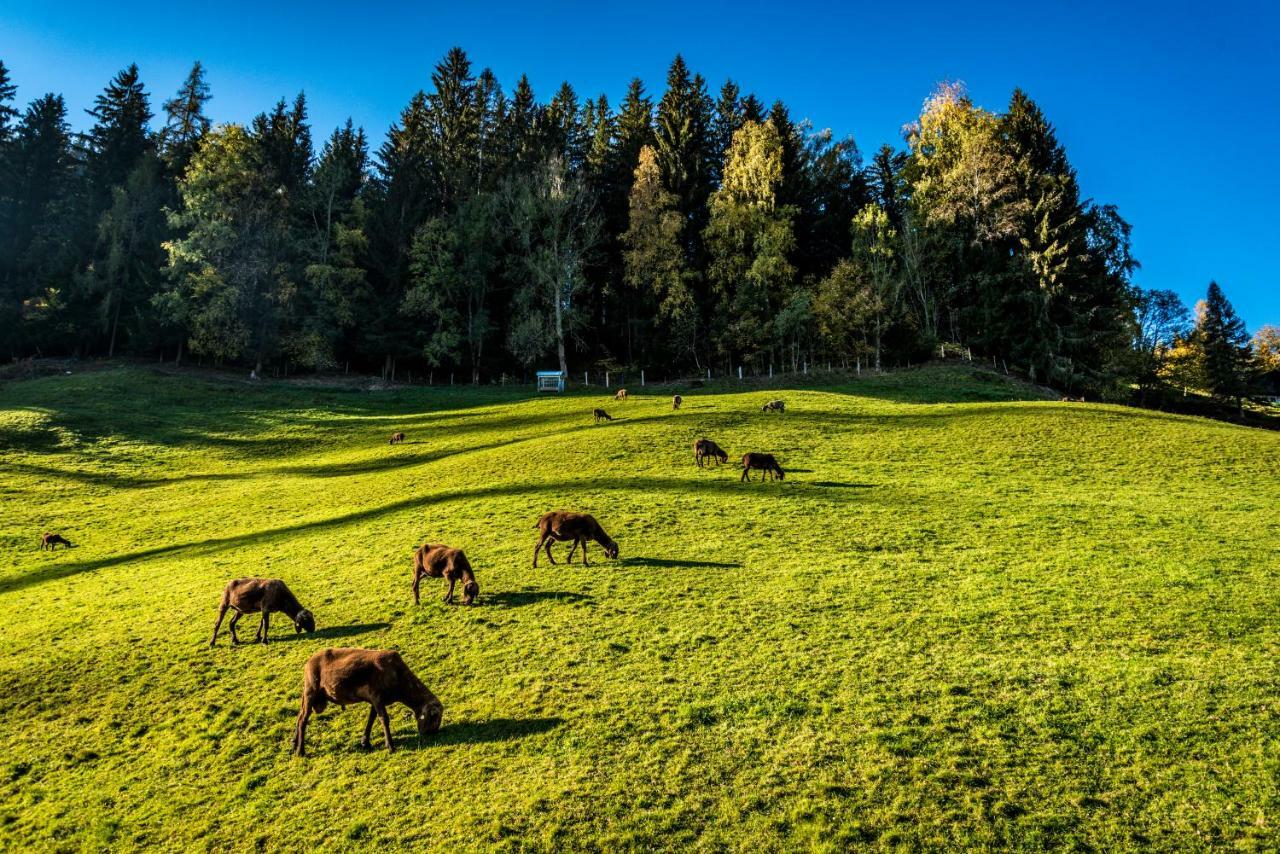 Stallhaeusl Schladming Extérieur photo
