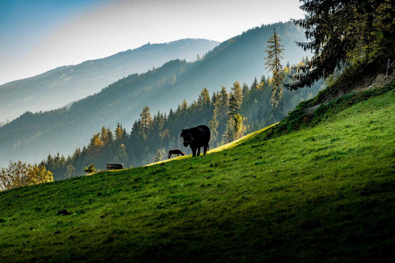 Stallhaeusl Schladming Extérieur photo