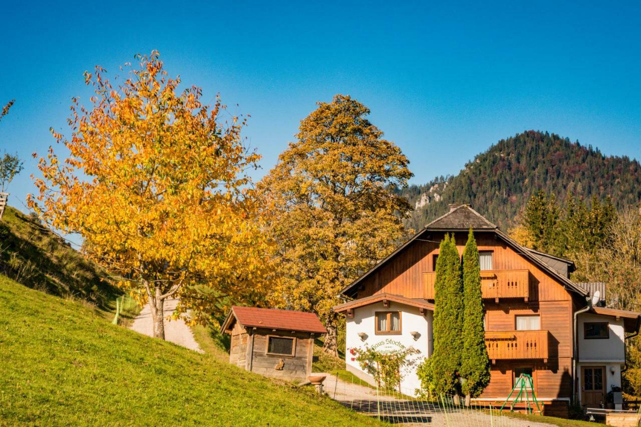 Stallhaeusl Schladming Extérieur photo